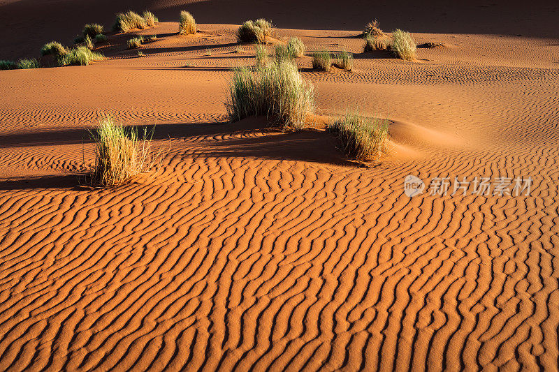 沙子和Erg Chebbi沙漠，Merzouga，摩洛哥，北非